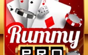 rummy pro